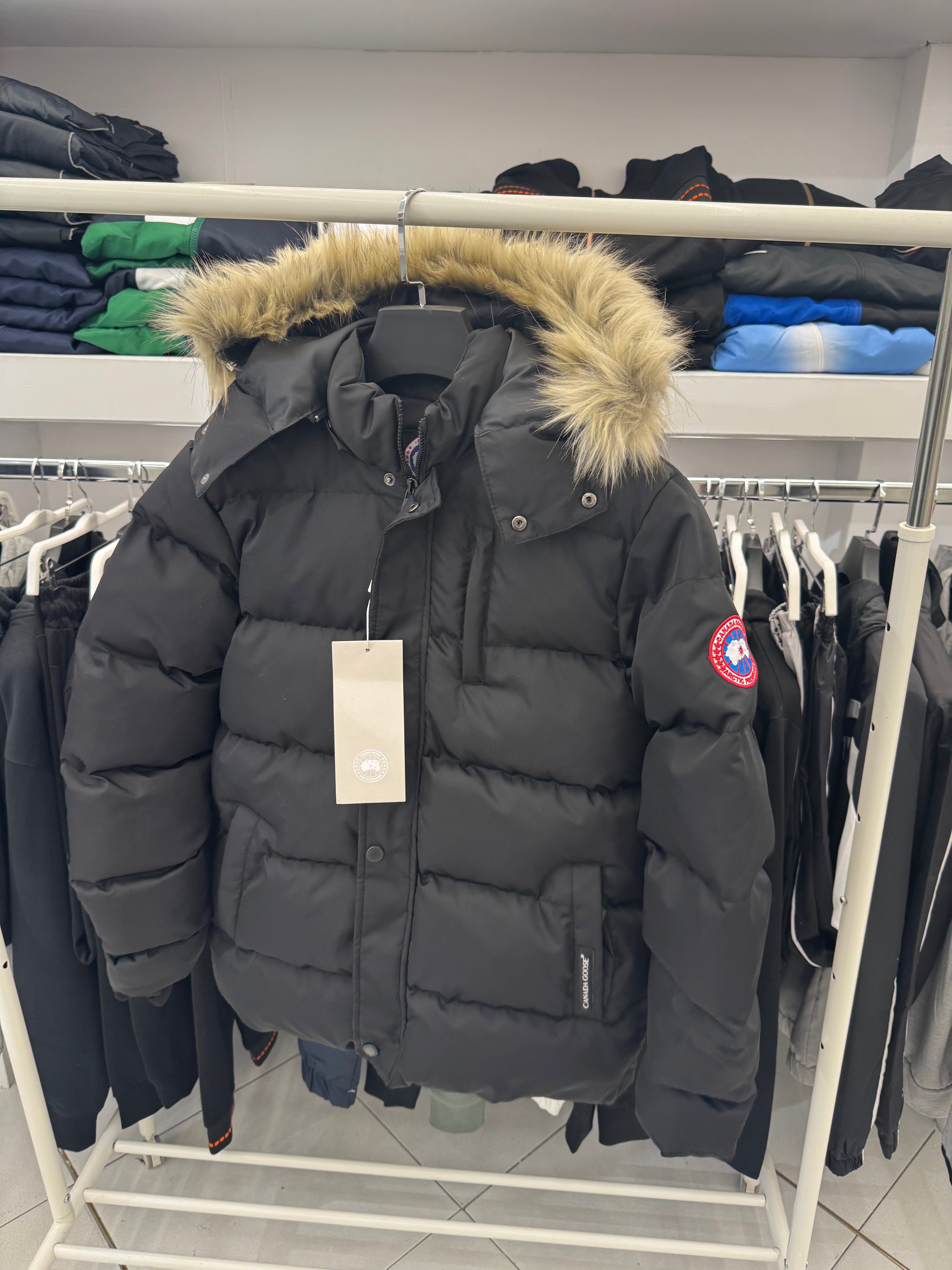 Canada Goose cod:11